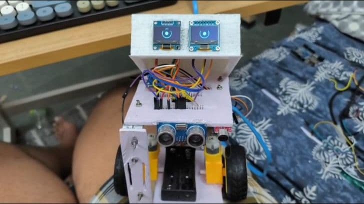 OLED companion bot